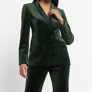 Velvet Double Breasted Shawl Collar Blazer from Express in Green, Size Large
